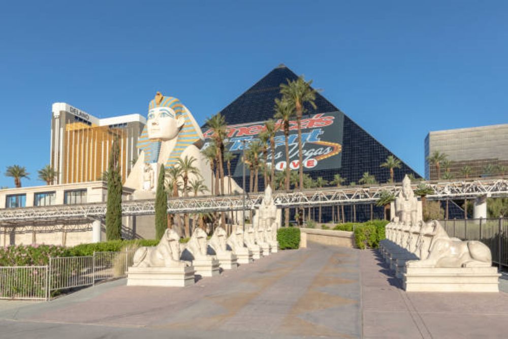 Discover The Best Attractions In Las Vegas